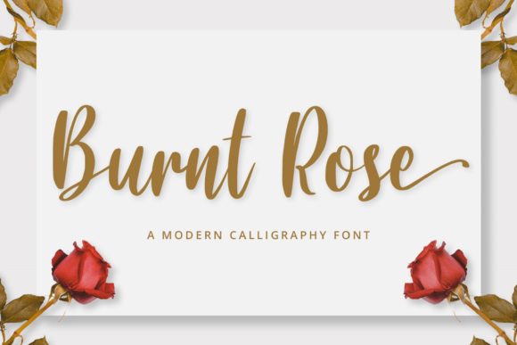 Burnt Rose Font Review: A Classy Handwritten Typeface for Bold Design Moments