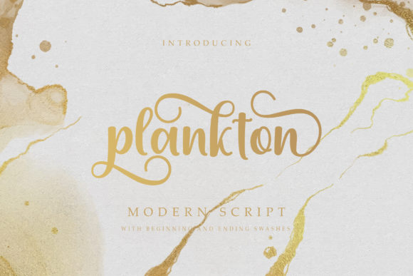 Plankton Font: Elegant Script for Web Design